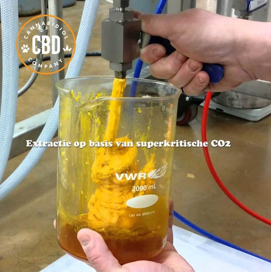 100% pure cbd uit co2 extractie